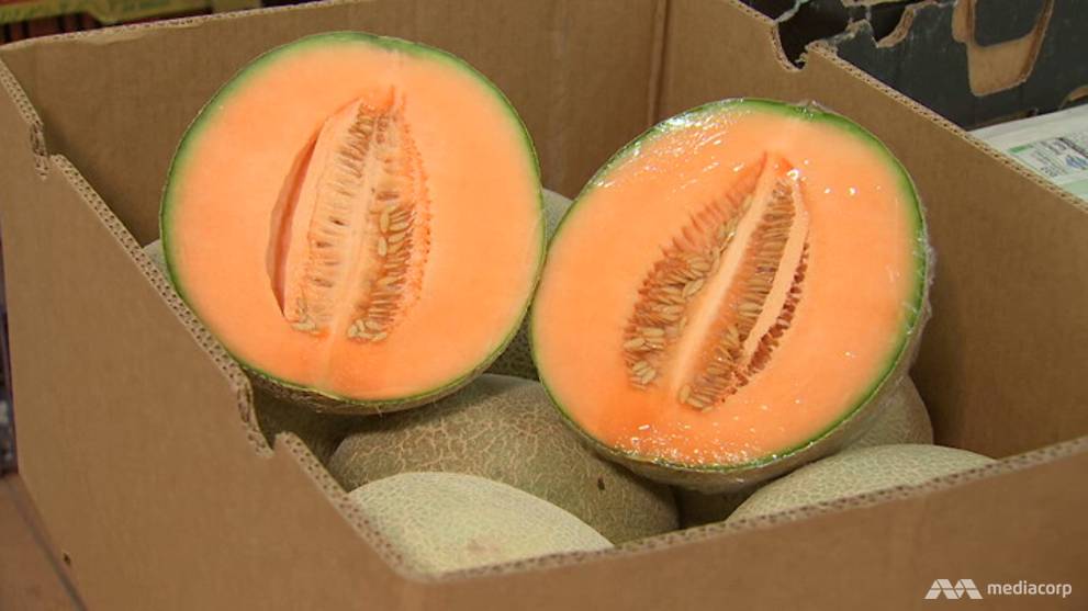 Malaysia Bans Rockmelons From Australia Amid Listeria Fears Cna