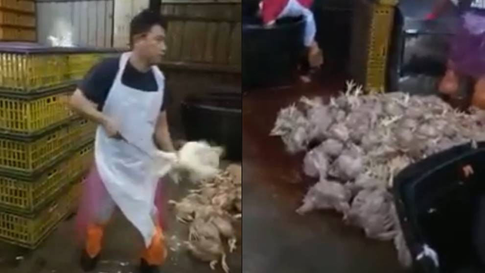 Malaysia slaughterhouse under probe for unhygienic practices after