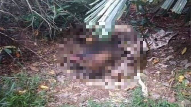 body-of-11-year-old-girl-found-in-pekan.jpg