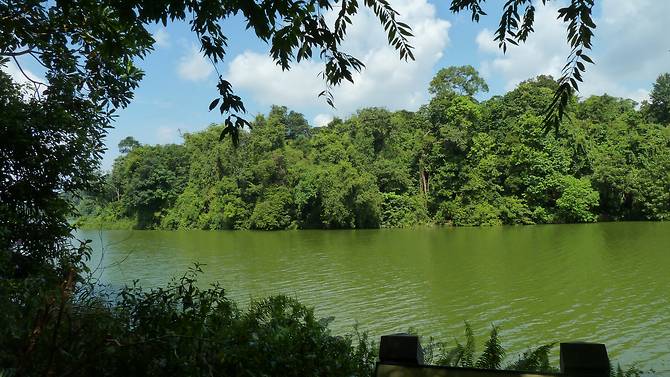 lower-peirce-reservoir.jpg
