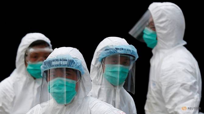 Philippines Detects Bird Flu Outbreak In Quail Farm The Union Journal