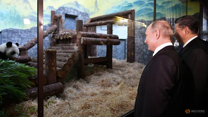 russian-president-vladimir-putin-and-chinese-president-xi-jinping-visit-the-moscow-zoo-4.jpg