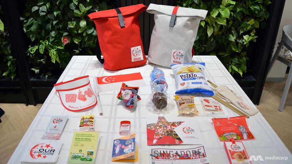 A Look At The Ndp 2019 Funpack Video Cna