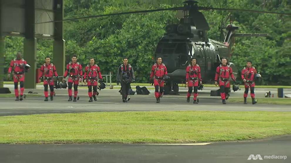 Red Lions Salute The Pioneering Achievement Of The 2019 National Day Parade