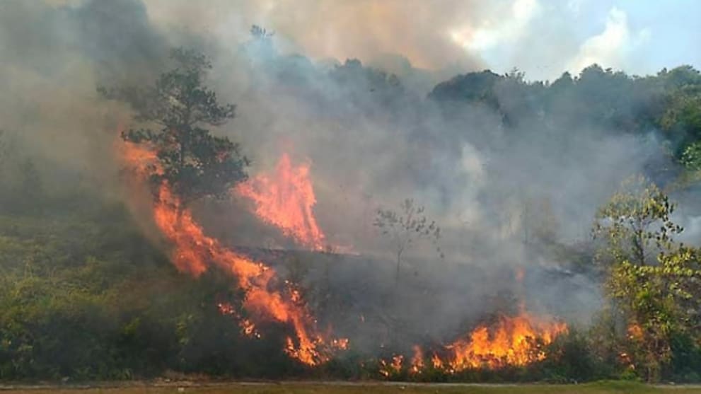 Forest Fire In Johor Spreads To 98 Hectares Cna