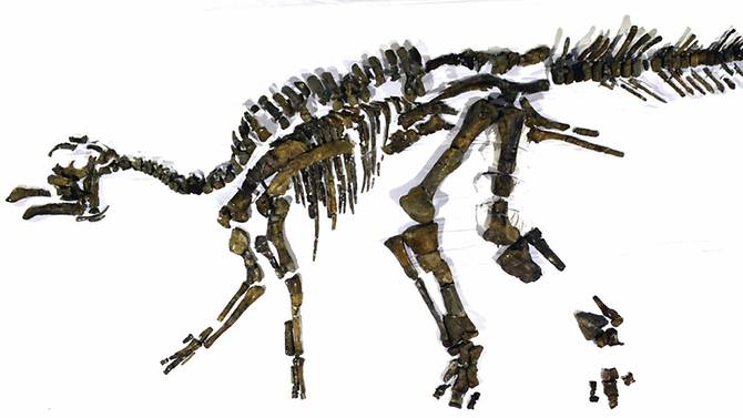japanese dinosaur
