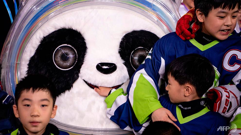 China Chooses Panda As Winter Olympics Mascot Cna