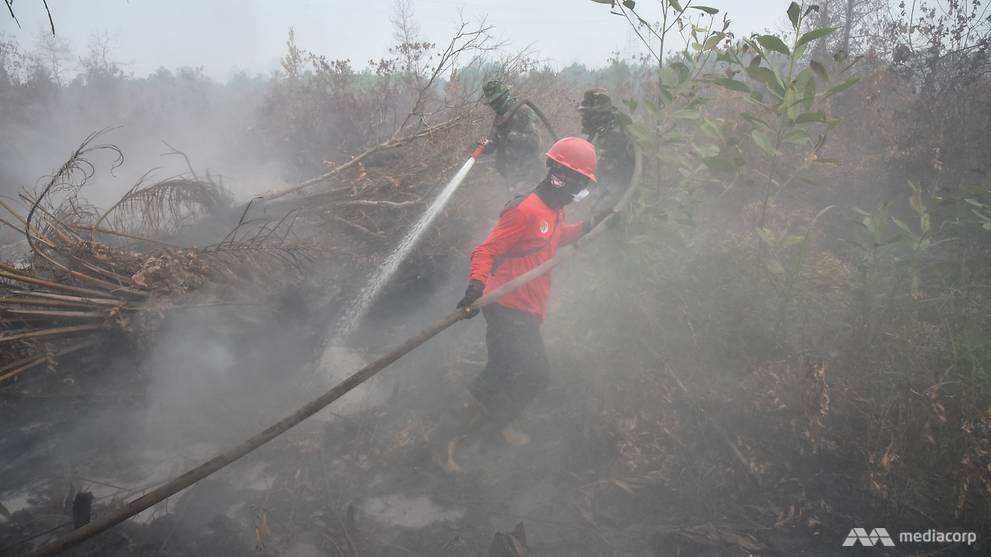 Los bomberos se enfrentan a una batalla cuesta arriba con los incendios de Indonesia (ING)