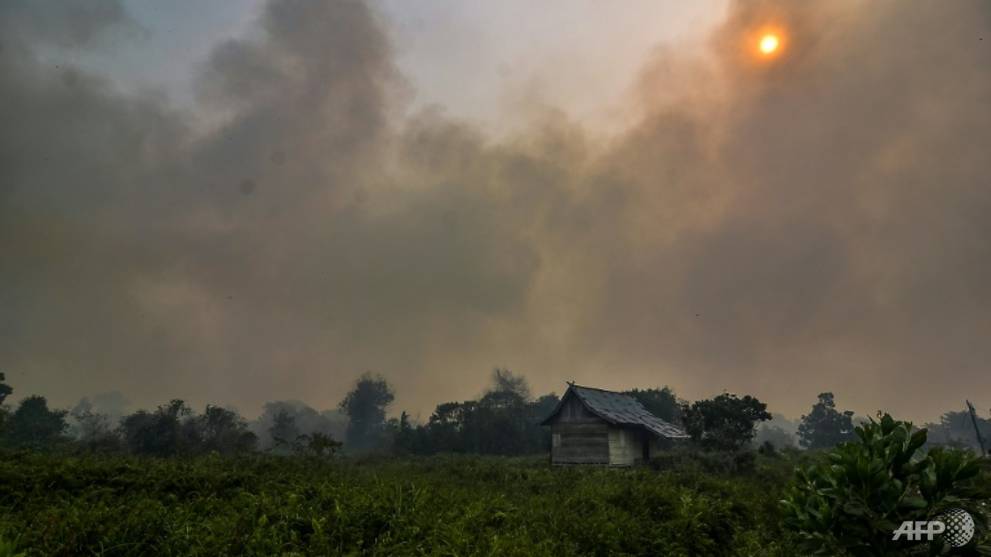 Malaysia ditches law to combat forest fire smog