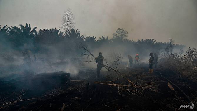 indonesia-haze-forest-fires.jpg
