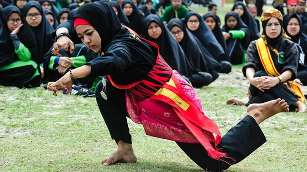 Silat martial art receives UNESCO heritage status CNA