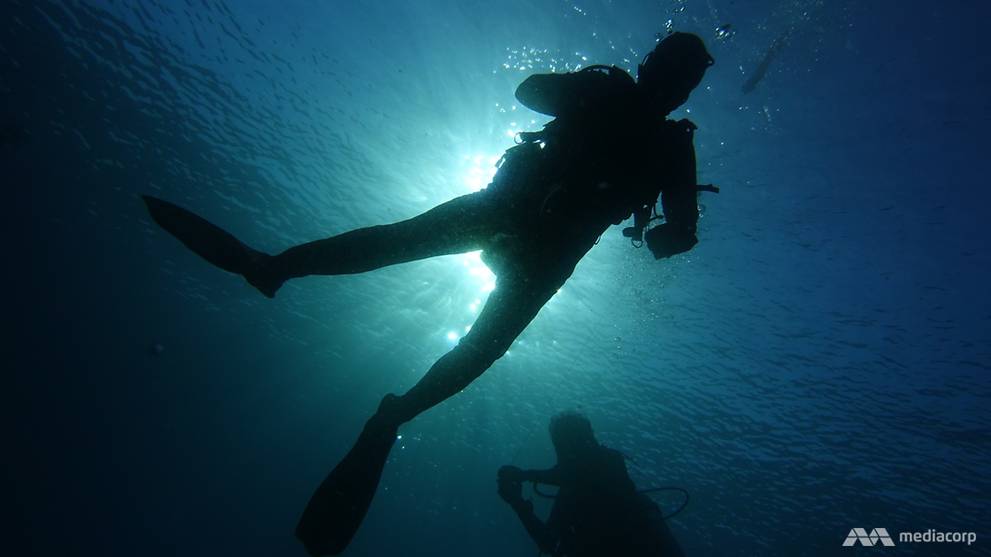 Diving With Hammerhead Sharks In Indonesia S Forgotten Islands Cna