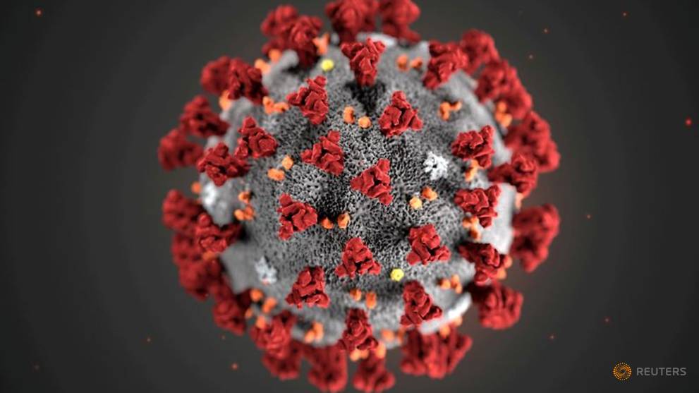 Portugal Confirms First Coronavirus Case Cna