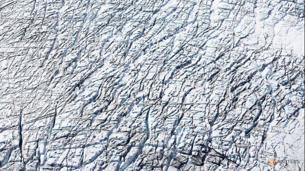 Frozen and desolate Antarctica once boasted warm, swampy rainforests thumbnail