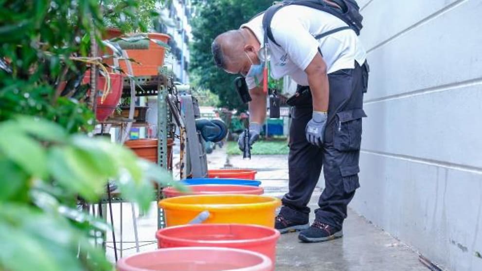 NEA takes enforcement action as 'egregious mosquito breeding' continues - CNA