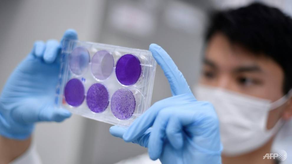 First Human Trial Of Astrazeneca Covid 19 Vaccine Shows Promise Cna