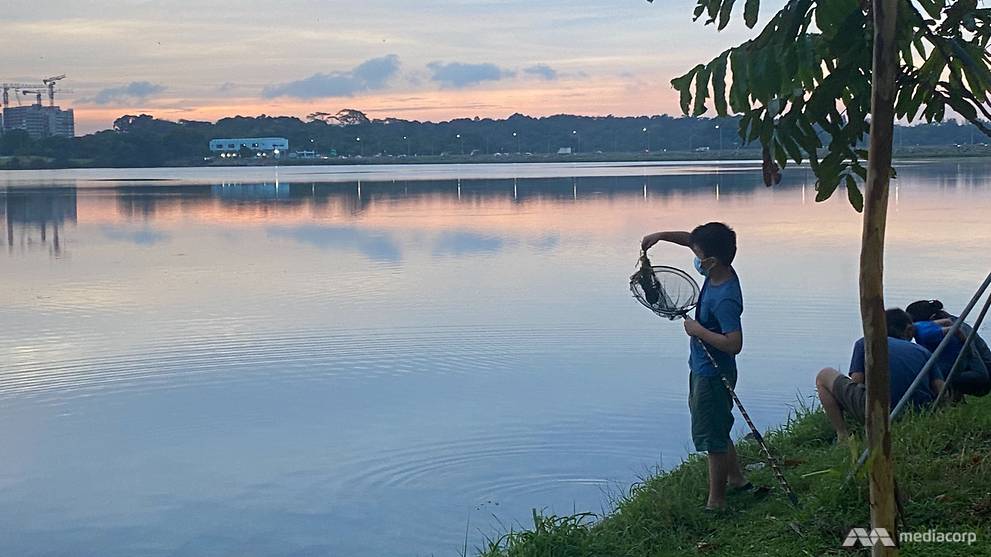 Hard To Make Catch And Release Fishing Compulsory Say Nparks Anglers After Giant Ray Cut Up Cna