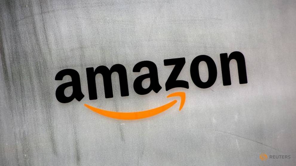 Japan anti-trust regulator accepts Amazon Japan improvement plan - CNA