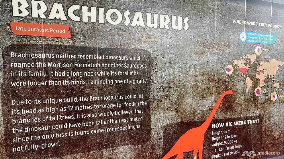 info-panels-dinosaurs.jpg