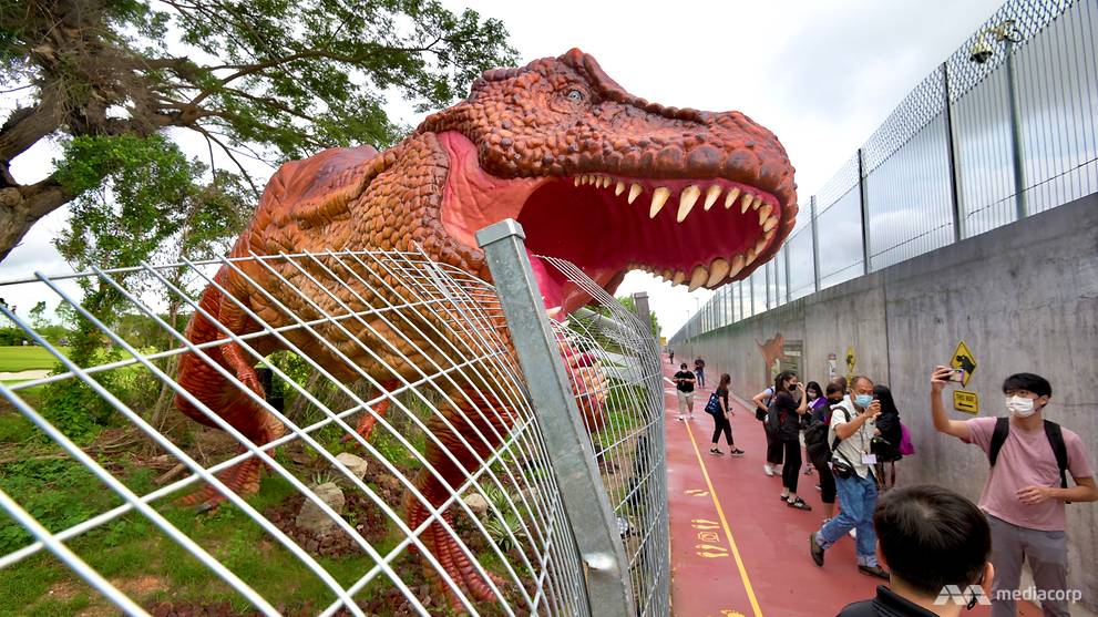 New 3.5km path linking Changi Airport and East Coast Park opens ...