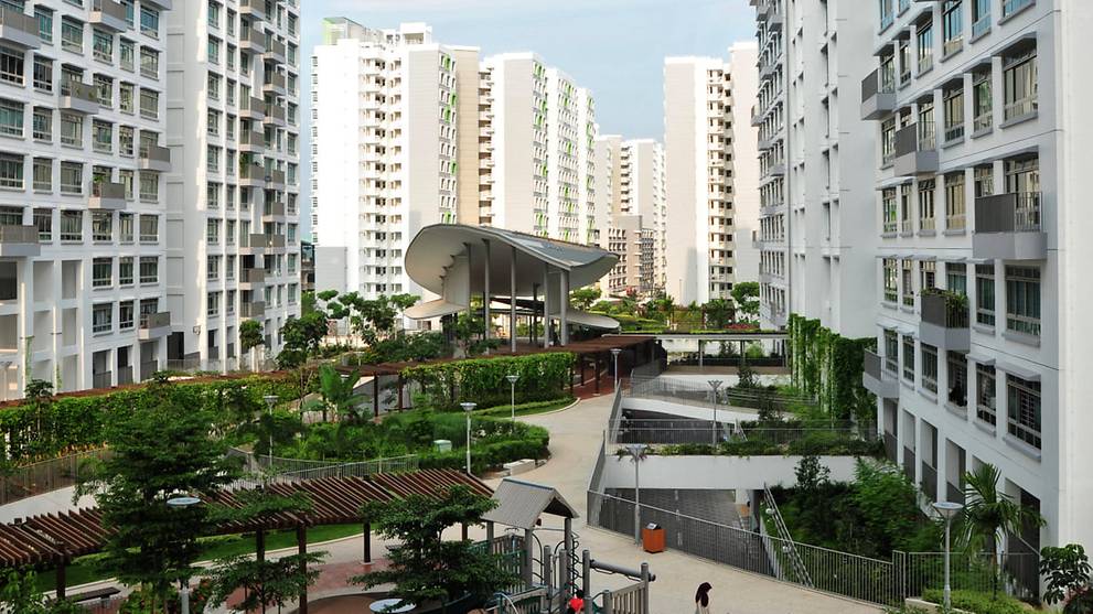 After the success of Singapore&#39;s first eco-town Punggol, what next for HDB green living? - CNA