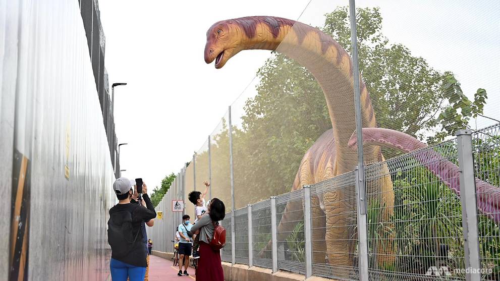 Safety netting put up along Changi Jurassic Mile after visitor injured ...