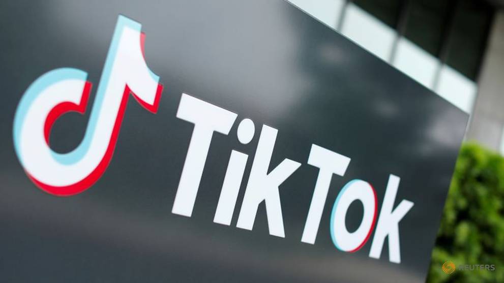 TIK TOK SONGS You Probably Don't Know The Name Of - 100 JOKES
 |Tiktok Music