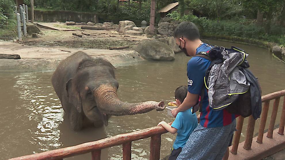 Inside The Zoo: Keeping Up With The Keeper | On The Red ...