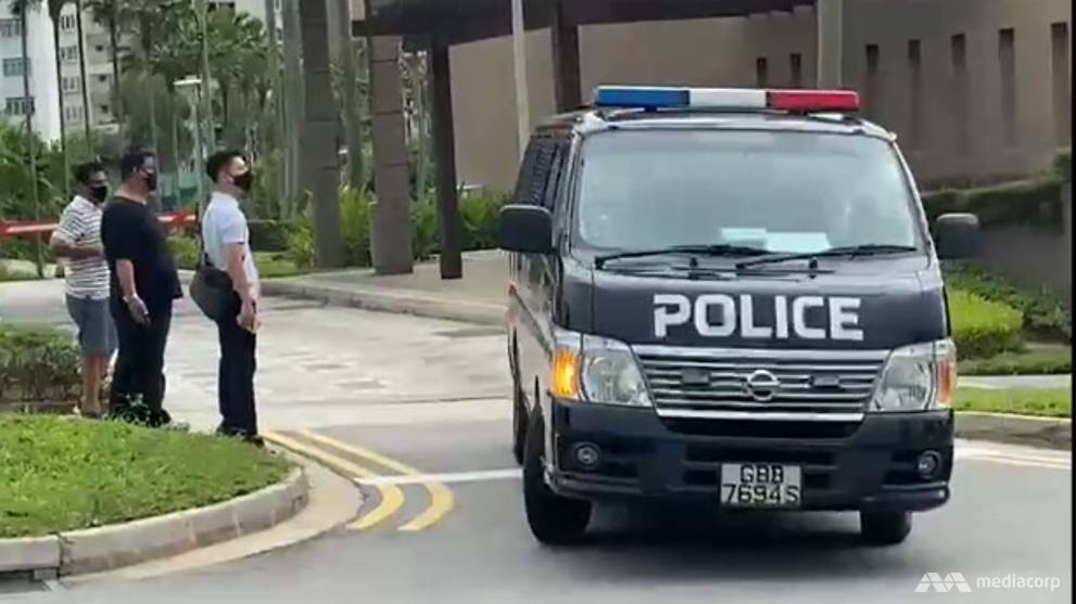14 Year Old Boy Charged With Murdering Father At Flora Road Cna