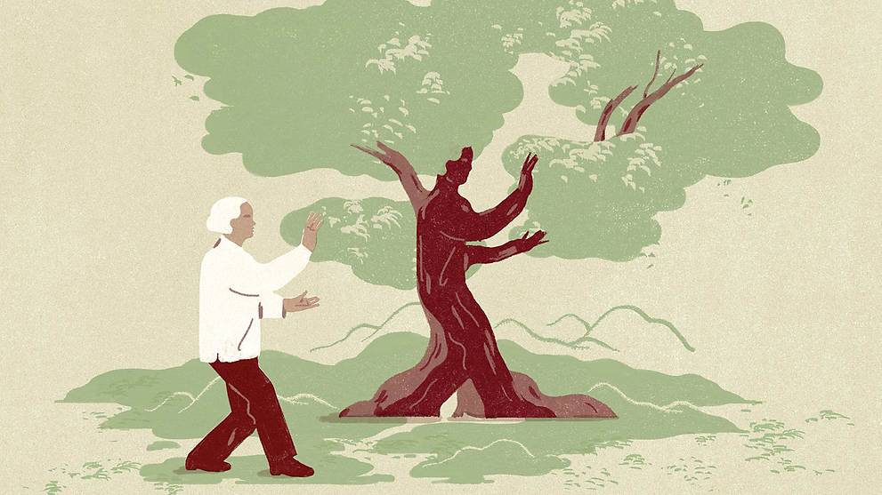 How do you prevent falls? First work on improving your balance - Vimarsana News