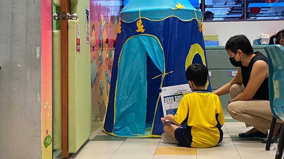 For Primary 1 students with behavioural difficulties, MOE programme helps them adjust to new environment - Vimarsana News