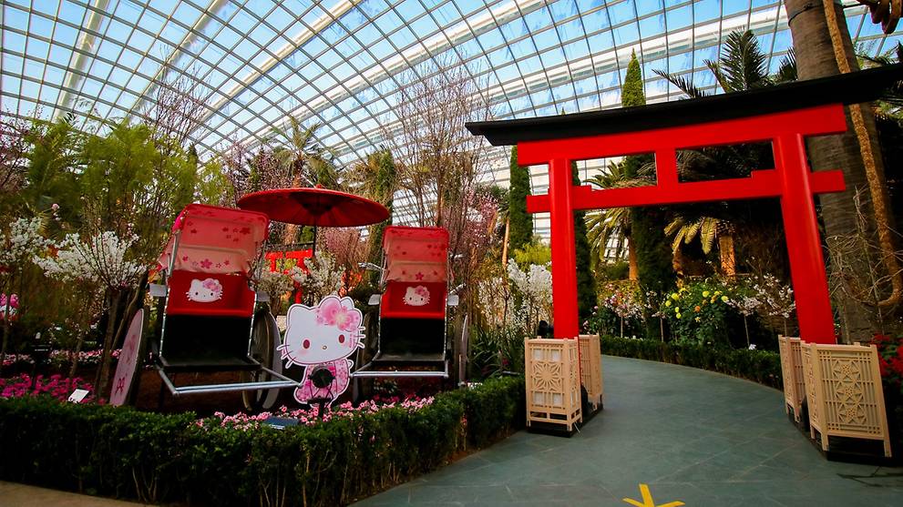 Cherry blossoms and Hello Kitty at Singapore's Gardens by the Bay - Vimarsana News
