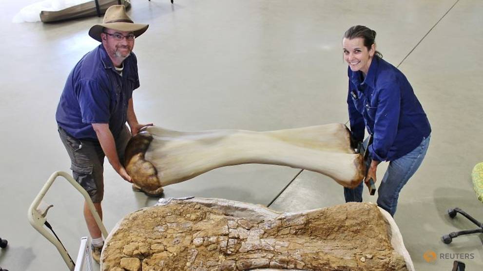 Spesies dinosaurus baru ditemukan di Australia, salah satu ...
