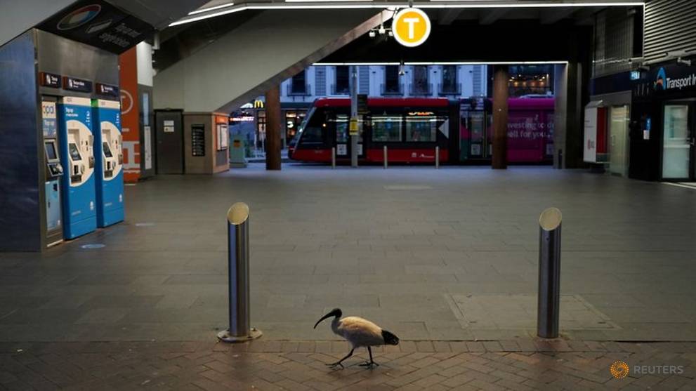 Australia cranks up COVID curbs with Brisbane lockdown ...