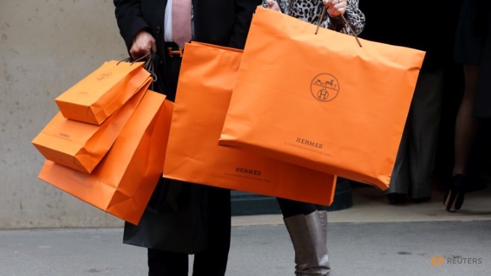 Birkin bag maker Hermes says Chinese sales momentum still strong - CNA