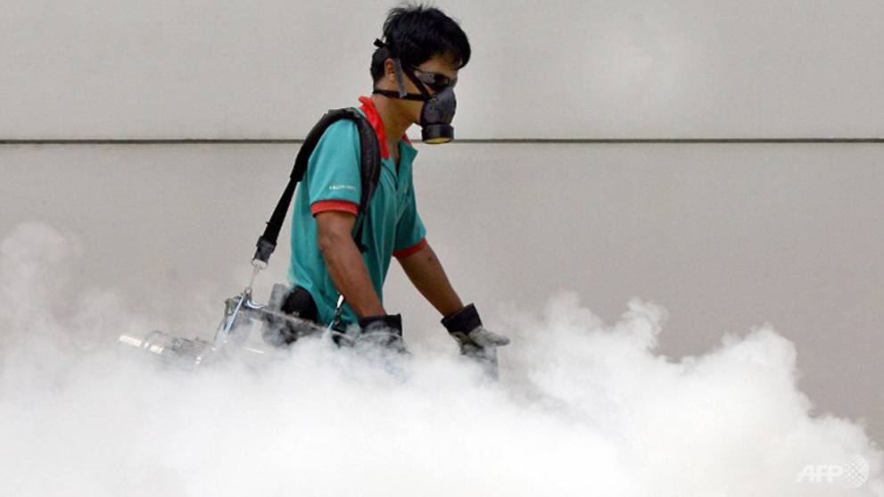 Pest Control Subsector Digitally Added For Environmental Services Industry The Bharat Express News